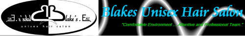 blakes.png