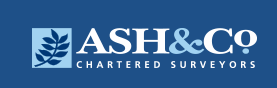 ash.png