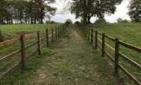 Landscape Fencing.jpg