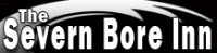 borelogo1.jpg
