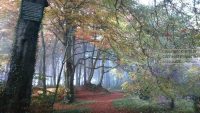 stunning-cotswolds-autumn-natural-colours_1.jpg