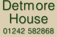 detmo.png