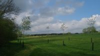 DSC_0564a.jpg