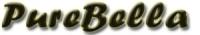 logo2013-300x52.png