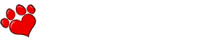 logo.png