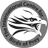 ICBP-logo.png