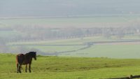 cotswold-horse-riding_1.jpg