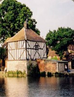 dovecot.jpg