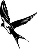 swallow.jpg