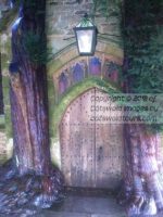 st-edwards-church-door-stow-on-the-wold_2.jpg