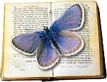 Butterfly_Garden_Logo_sm.jpg