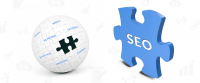 SEO Expert India.png