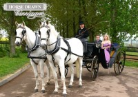 horsedrawn-carriage-white.jpg